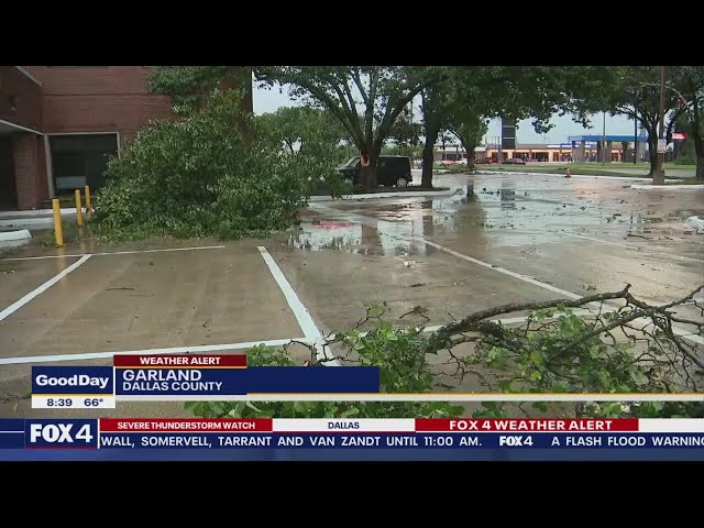 ⁣Trees damaged by Tuesday morning storms