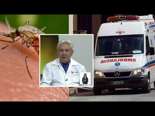 ⁣Ministerio de Salud confirma la presencia del virus de Oropouche en Santiago de Cuba y Cienfuegos