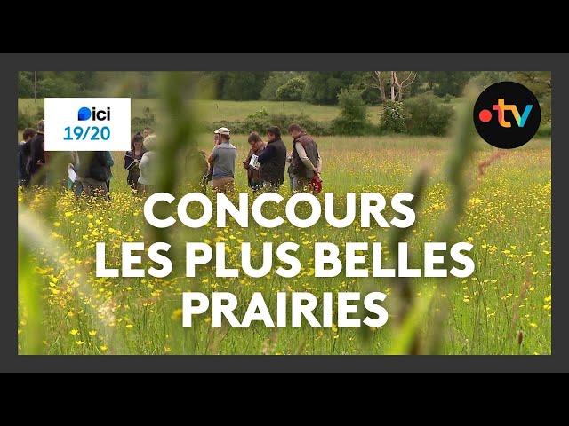 ⁣Concours des plus belles prairies