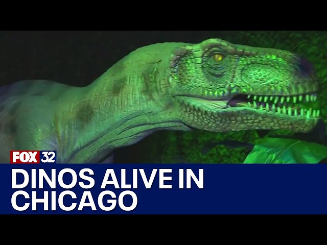 ⁣New exhibit with realistic dinosaurs opens in Chicago