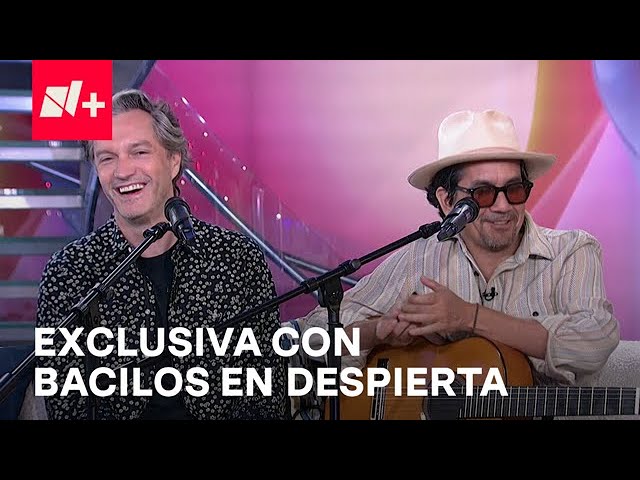 Bacilos habla en entrevista para Despierta sobre ‘Enredadera’, su nuevo sencillo - Despierta