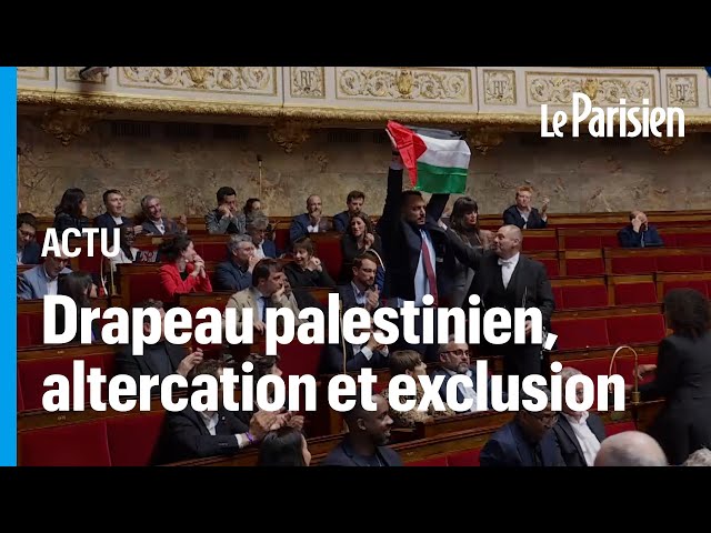 ⁣Suspension de séance, insultes... comment le conflit israélo-palestinien a électrisé l'Assemblé