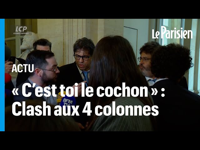 ⁣Vive altercation entre Meyer Habib et David Guiraud après l’incident du drapeau palestinien