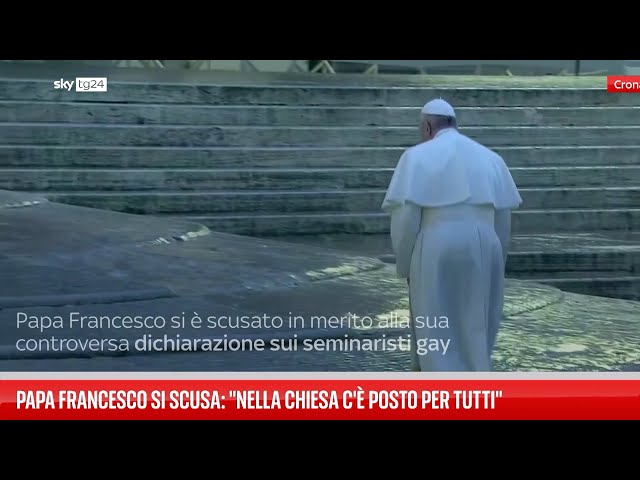 ⁣Papa Francesco si scusa: "Nella Chiesa c'è posto per tutti"