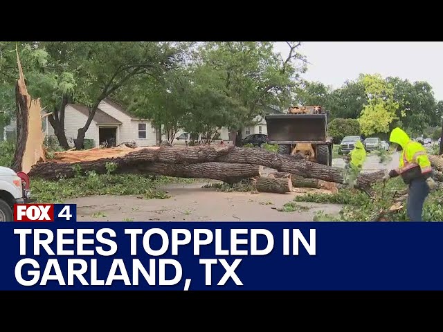 ⁣Garland storm damage: Homes damaged, trees knocked down