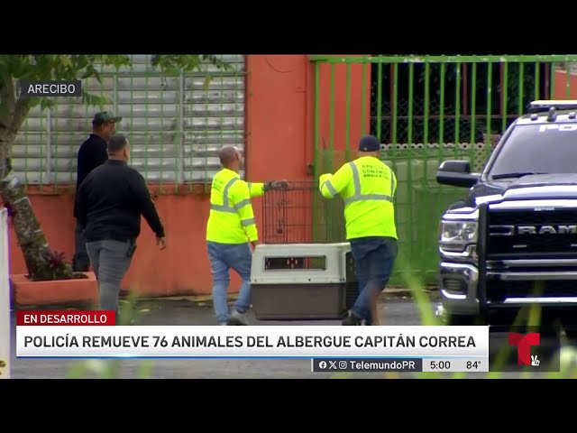⁣Remueven animales de albergue en Arecibo