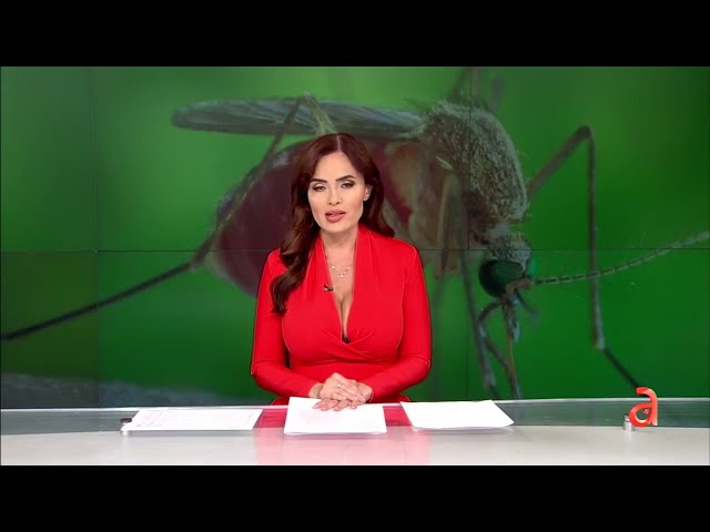 ⁣Aparece en Cuba Nuevo Virus Transmitido por Mosquitos