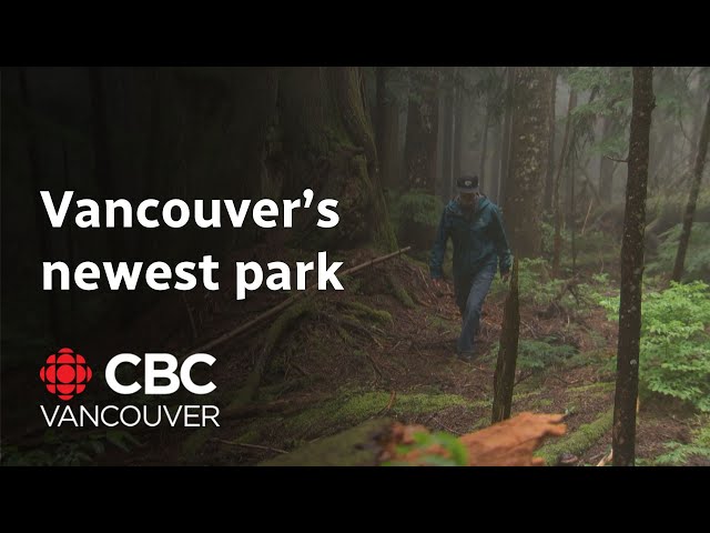 ⁣New park in West Vancouver surpasses the size of Stanley Park