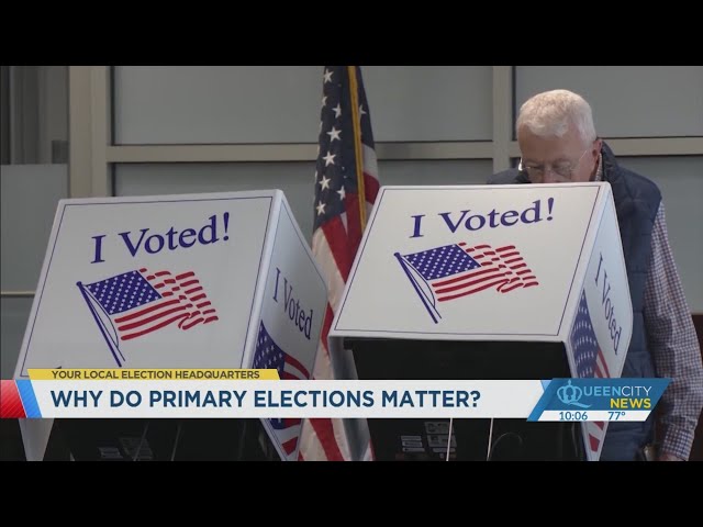 ⁣Why do primary elections matter?