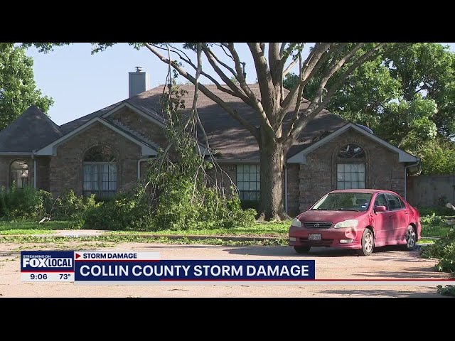 ⁣North Texas Storms: Plano left with mess of debris, power outages