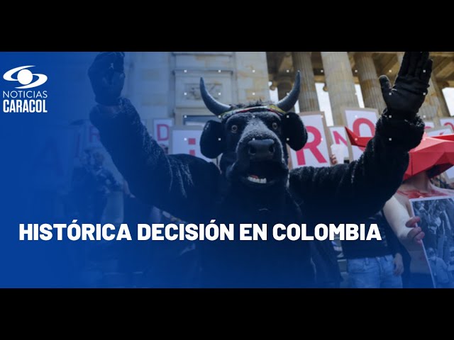 ⁣Se prohíben las corridas de toros en Colombia: aquí las reacciones