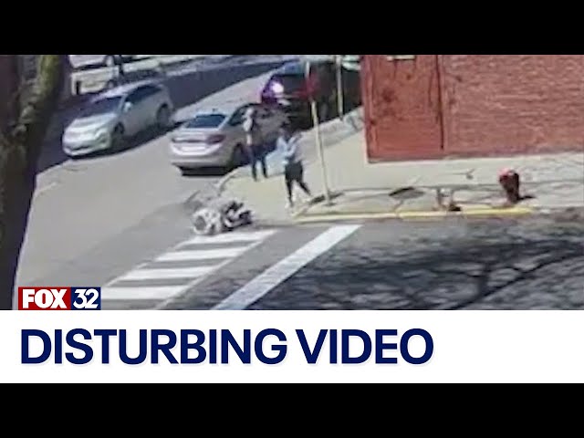 ⁣'Why?!' COPA releases video of off-duty Chicago cop shooting dog in head