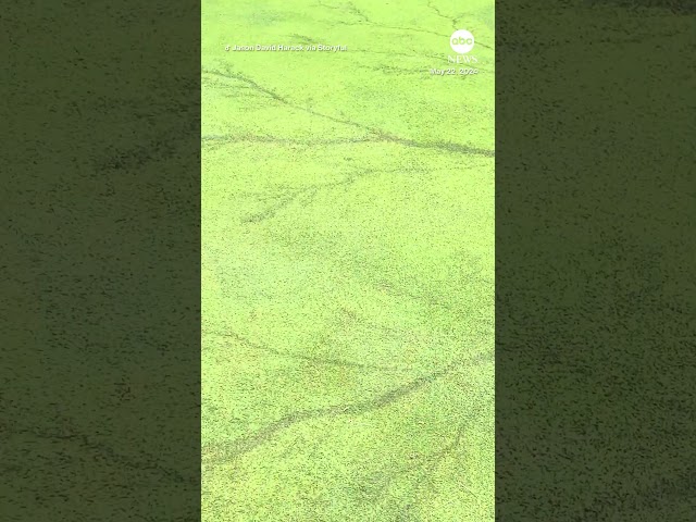 ⁣‘Crazy’ lightning pattern found on Ohio golf course after thunderstorm