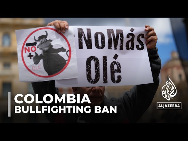 Colombian congress bans bullfighting nationwide