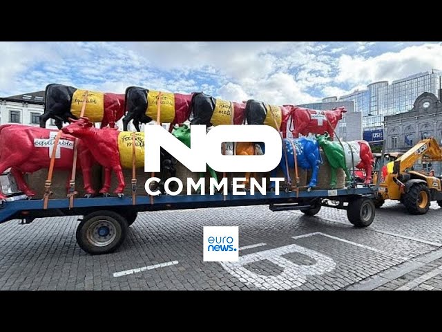 ⁣NO COMMENT: Las vacas toman las calles de Bruselas en una protesta de los ganaderos