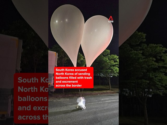 ⁣South Korea accuses North Korea of sending balloons carrying trash and excrement