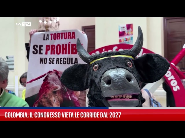 ⁣Colombia, il Congresso vieta le corride dal 2027