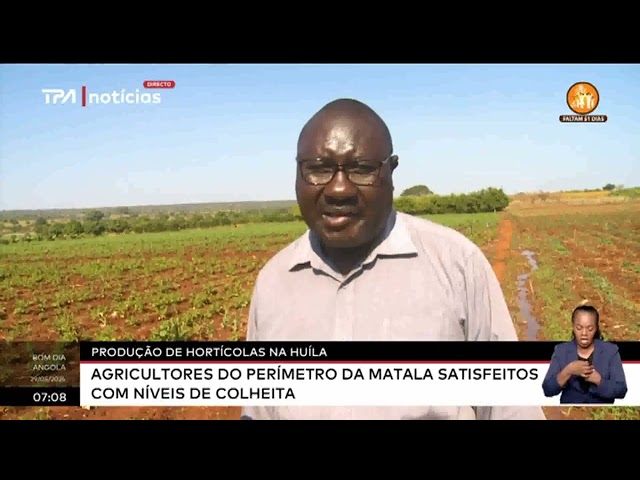 ⁣Produção de hortícolas na Huíla - Agricultores da Matala satisfeitos com níveis de colheita