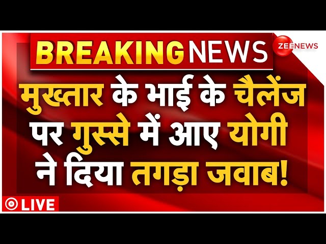 ⁣CM Yogi Challenges To Mukhtar Ansari Brother LIVE : चैलेंज देने वाले अफजाल को योगी का तगड़ा जवाब!