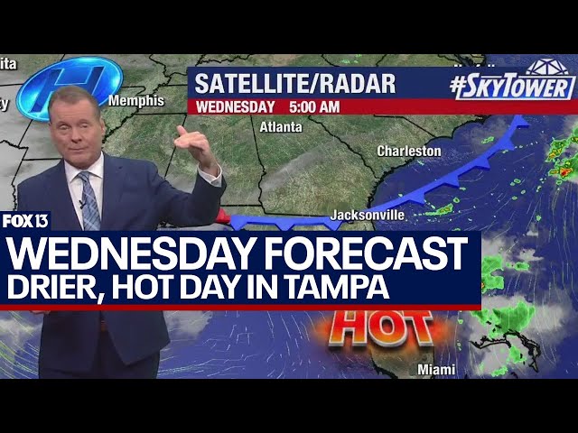 ⁣Tampa weather May 29, 2024 | hotter temps with less humidity