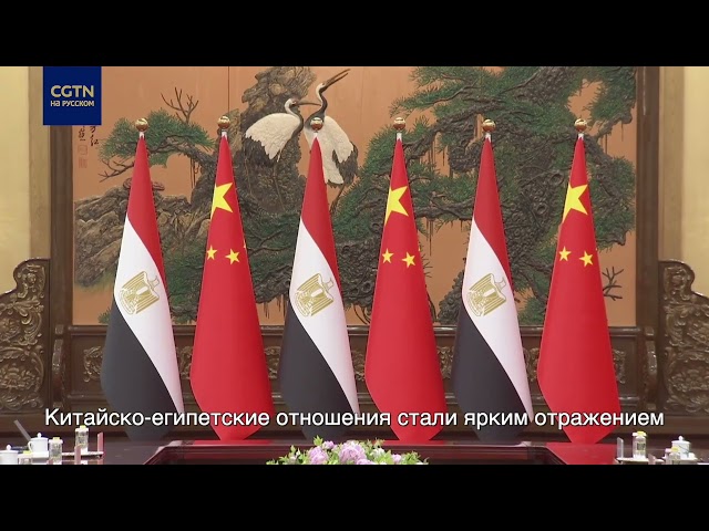 ⁣Встреча председателя КНР Си Цзиньпина с президентом Египта Абделем Фаттахом ас-Сиси