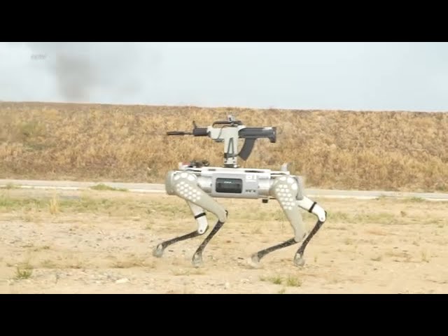 ⁣China's military shows off rifle-toting robot dogs