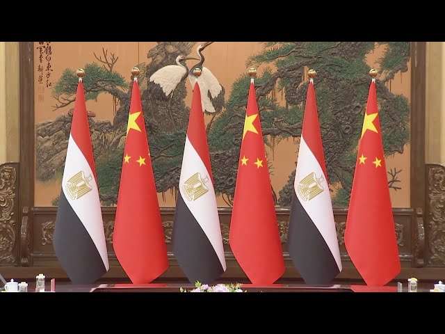 ⁣Xi Jinping calls for more substantive, dynamic China-Egypt relationship