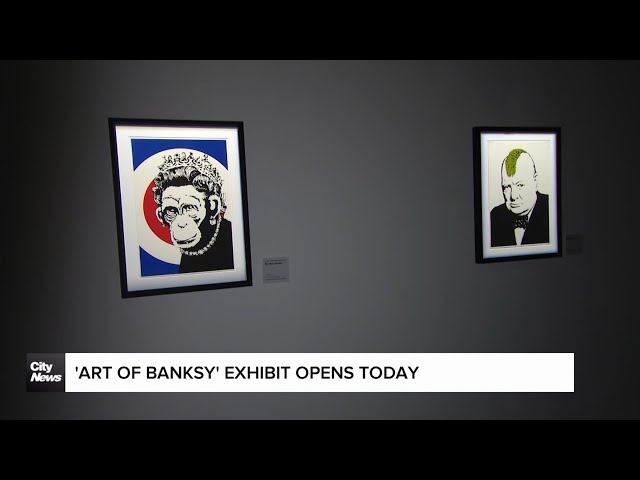 ⁣'Art of Banksy' exhibit opens in Toronto