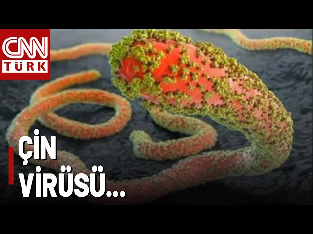 ⁣Bu Virüs Bulaştığı Kişiyi 3 Günde Öldürüyor! İşte Çin'de Geliştirilen O Virüs ve Amacı...