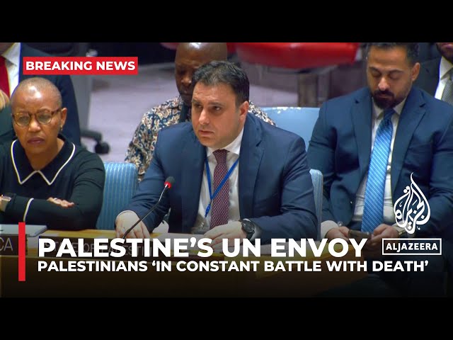 ⁣Palestinians should no longer have to die & suffer to remain on their land: Palestine's UN 