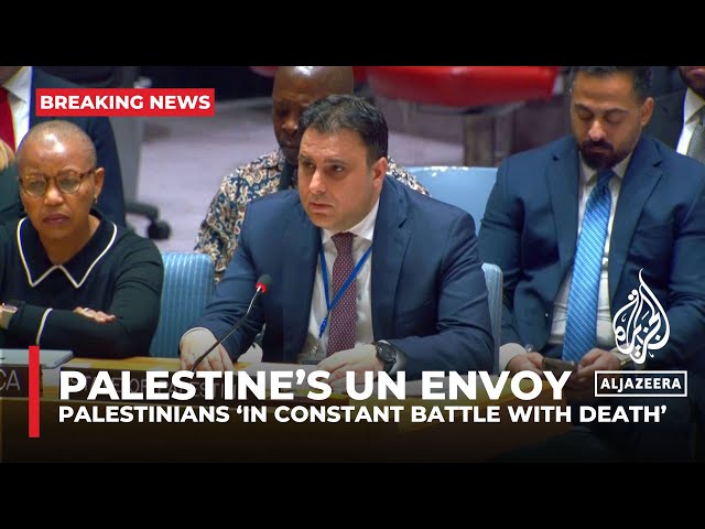 Palestinians should no longer have to die & suffer to remain on their land: Palestine's UN 