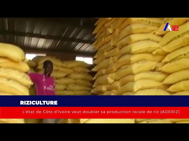 ⁣Riziculture: L’état de Côte d’Ivoire veut doubler sa production locale de riz (ADERIZ)