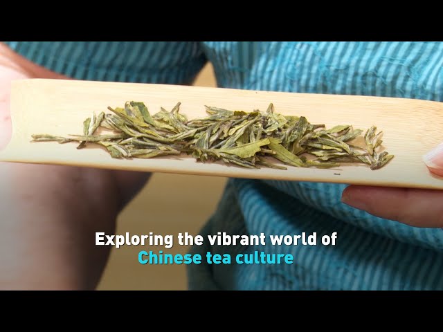 ⁣Exploring the vibrant world of Chinese tea culture