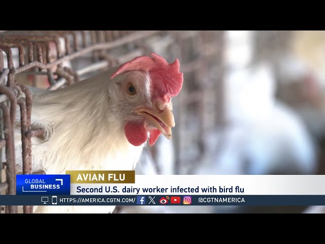 ⁣Global Business: U.S. bird flu cases spark preventive steps