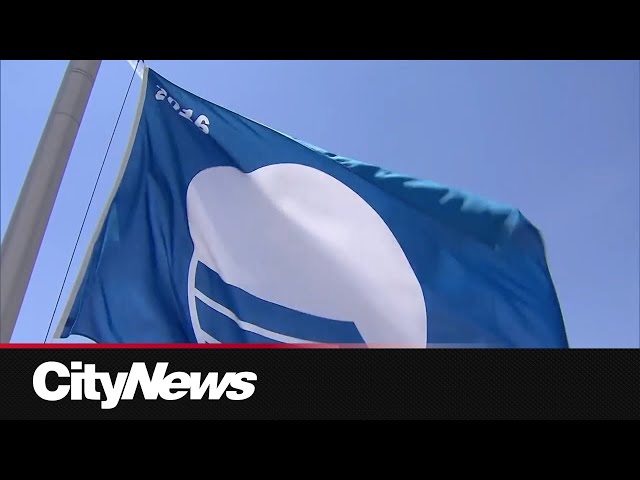 ⁣Several Toronto beaches awarded prestigious 'Blue Flag' award
