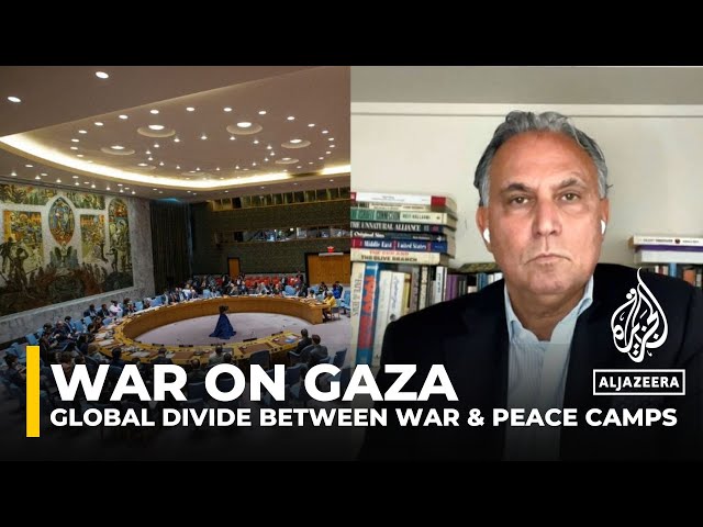 ⁣Marwan Bishara on global divide between war and peace camps after 8 months of Gaza war