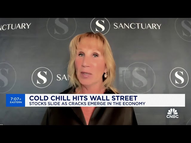 ⁣Still looking for a summer rally, says Sanctuary's Mary Ann Bartels on markets