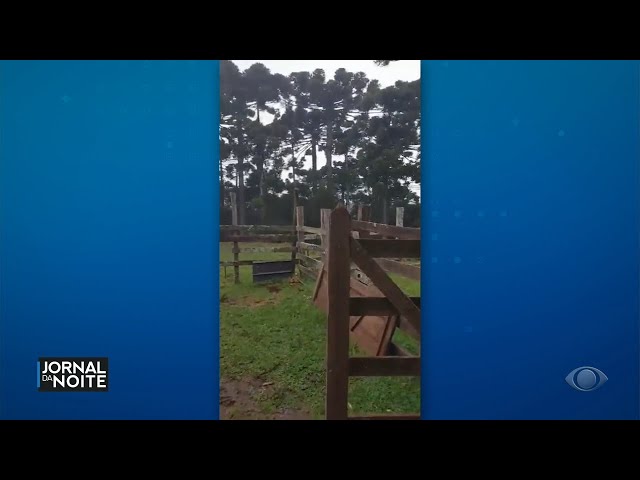 Neve chega ao Sul do Brasil, na Serra Catarinense