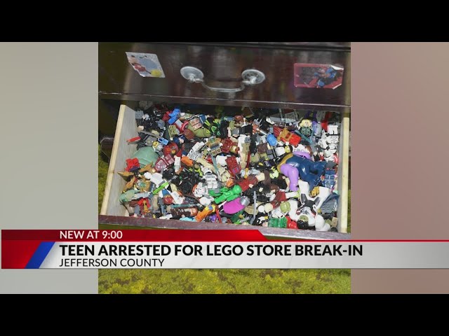 ⁣Teen arrested in $20K worth of Lego thefts