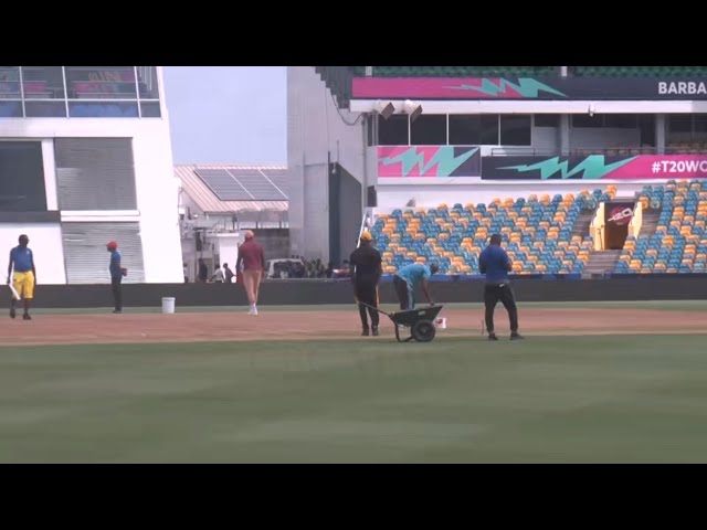 ⁣Kensington Oval playing surface receives final touches