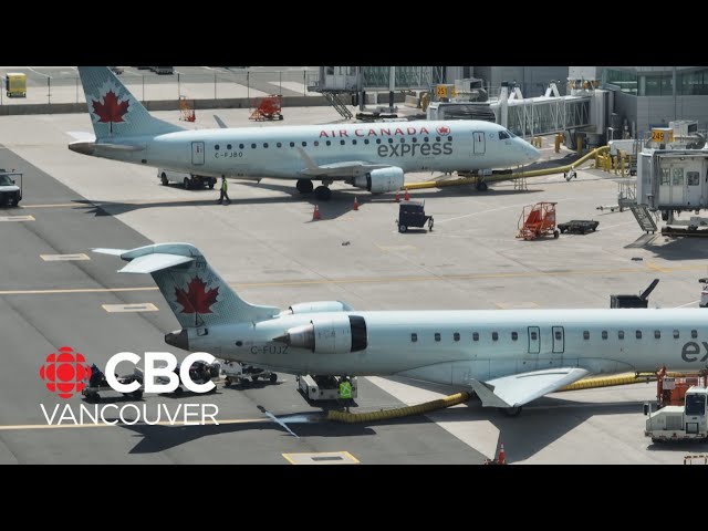 ⁣Air Canada wins right to test flight attendant's hair for pot use