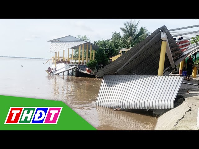 ⁣Sạt lở ven sông Hậu tại Sóc Trăng xảy ra nghiêm trọng | THDT