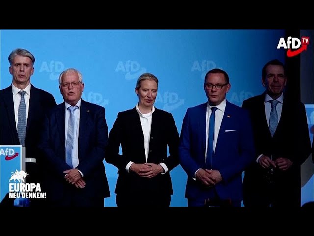 ⁣La campagne de l'AfD en difficulté