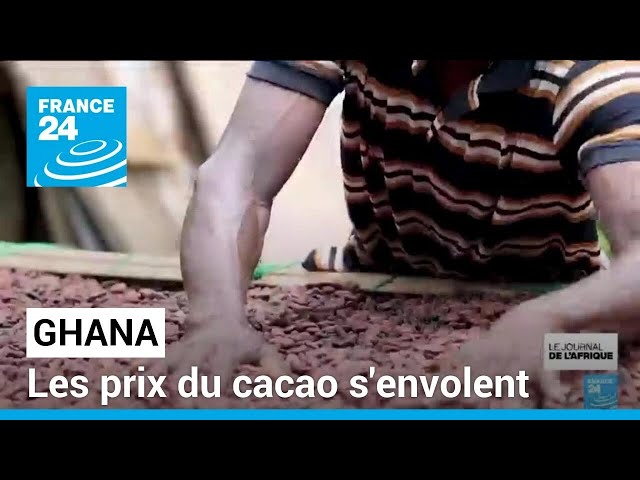 Au Ghana, les prix du cacao s'envolent • FRANCE 24