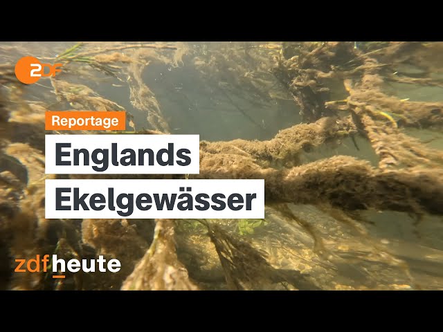 ⁣Sch**** im Wasser! Abwasserkrise in England | auslandsjournal