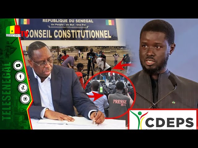 ⁣[LIVE] Decisions CC, Journée Set-Setal Diomaye, la CDEPS alerte sur l'Amnistie fiscale de la pr