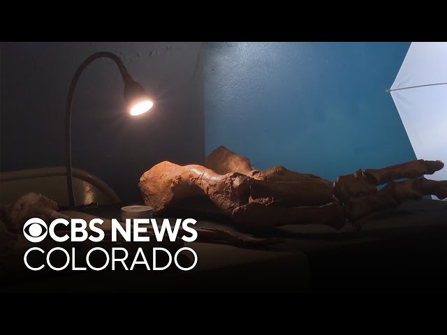 ⁣Paleontologists in Colorado reveal new species of dinosaur