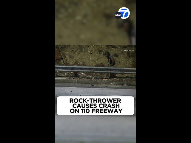 ⁣Rock-thrower causes crash on 110 Freeway