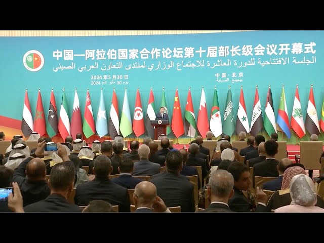⁣President Xi hosts Arab leaders at 10th ministerial conference