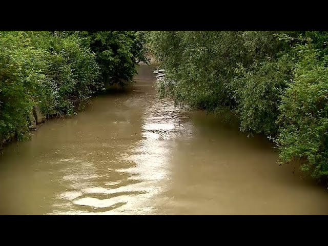 ⁣Un estudio de PAN Europa revela contaminación persistente en los ríos por plaguicidas